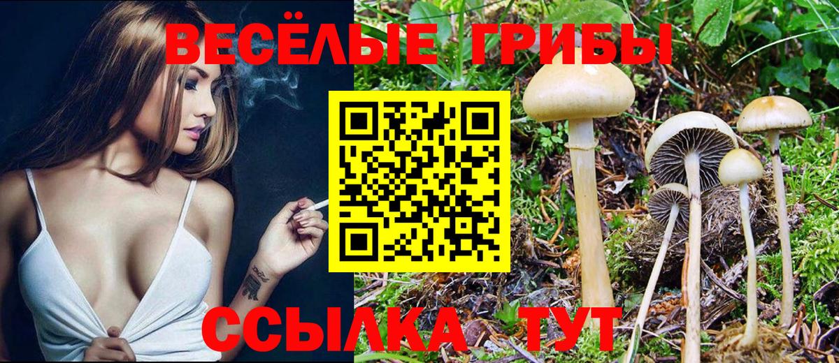 закладка  Псилоцибиновые грибы Psilocybine cubensis  Галлюциногенные грибы MAGIC MUSHROOMS  Вход с VPN  Михайловск 