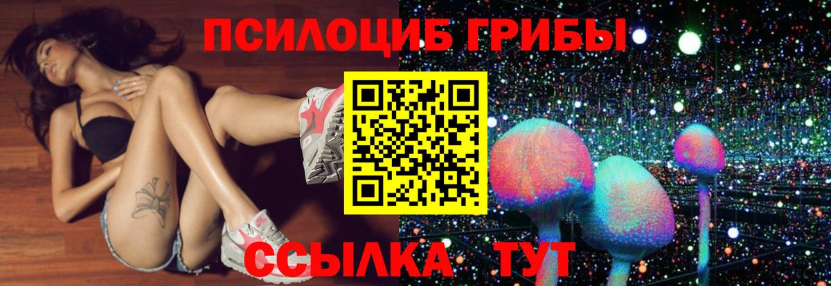Псилоцибиновые грибы GOLDEN TEACHER Михайловск